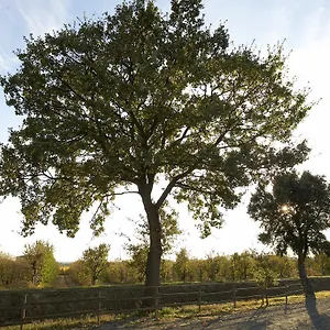 agriturismo-lucerna-del-lago-prile.it-tuscanyhotel.com/